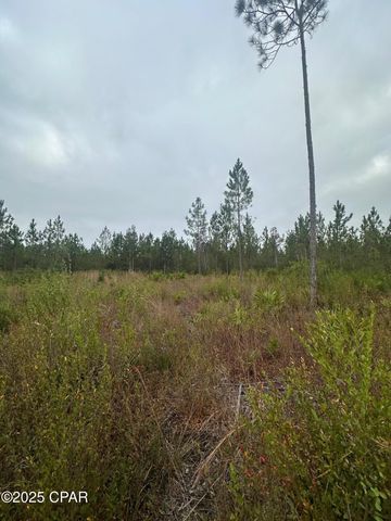 00 FL-71, Blountstown, FL 32424