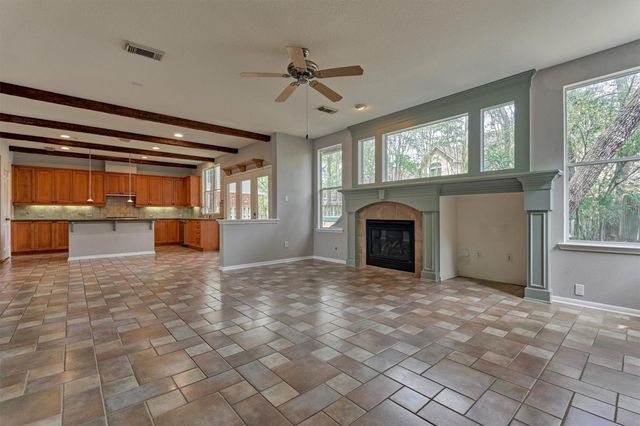 30 Fortuneberry Place, The Woodlands, TX 77382