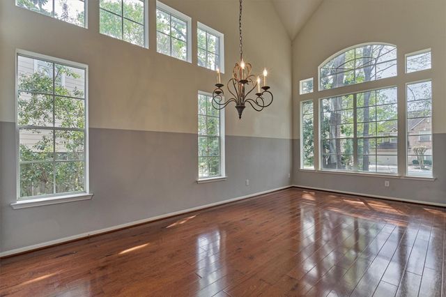 30 Fortuneberry Place, The Woodlands, TX 77382