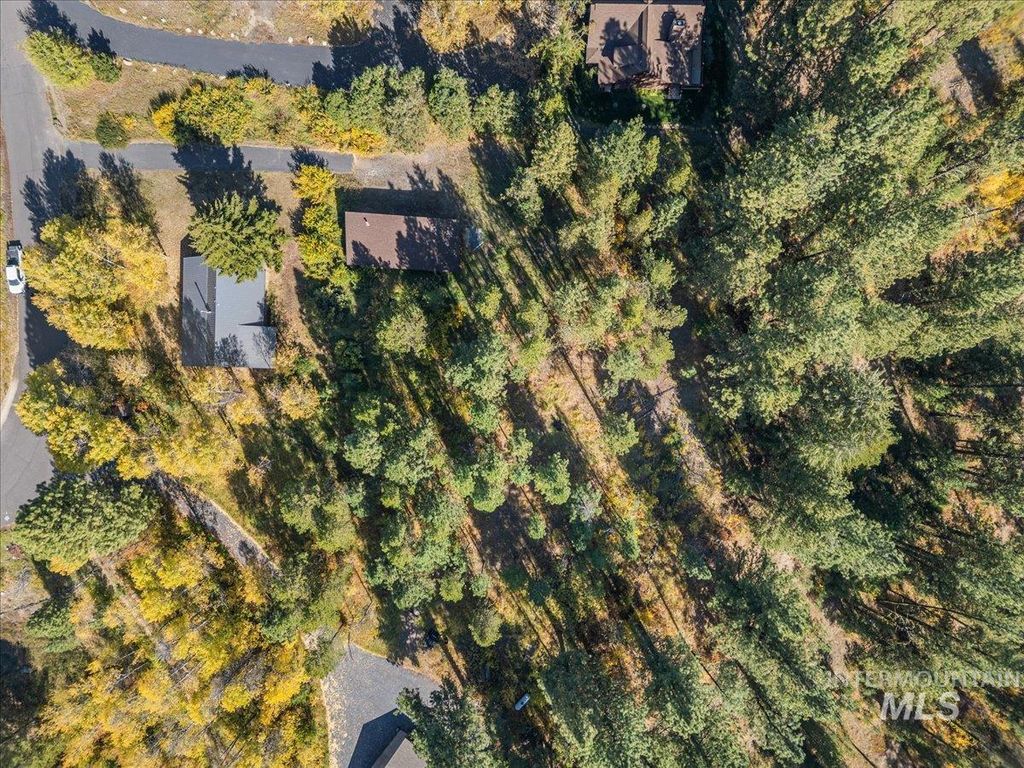 13982 Comfort Road, McCall, ID 83638 photo 44