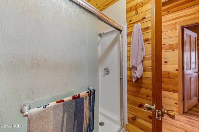 2933 WILDCAT Trail, Overgaard, AZ 85933