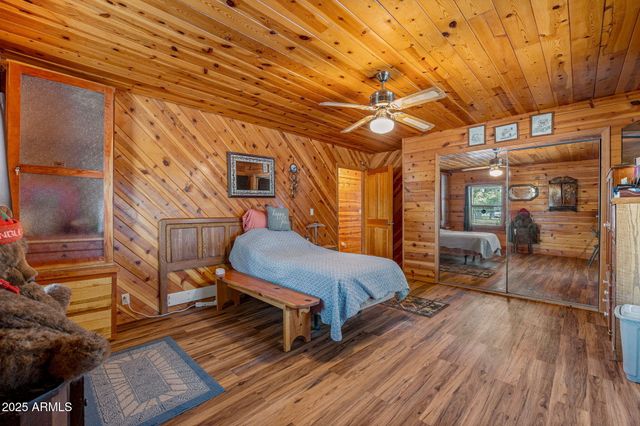 2933 WILDCAT Trail, Overgaard, AZ 85933