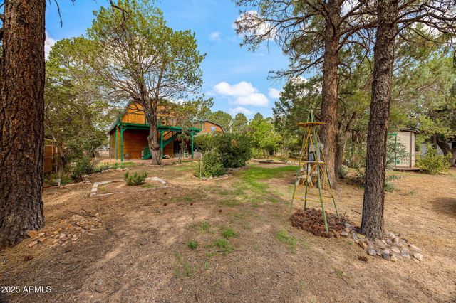 2933 WILDCAT Trail, Overgaard, AZ 85933