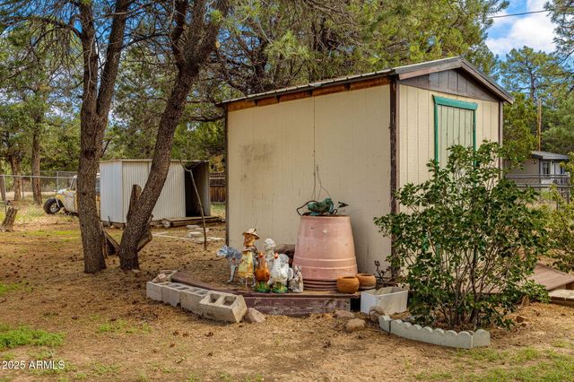 2933 WILDCAT Trail, Overgaard, AZ 85933