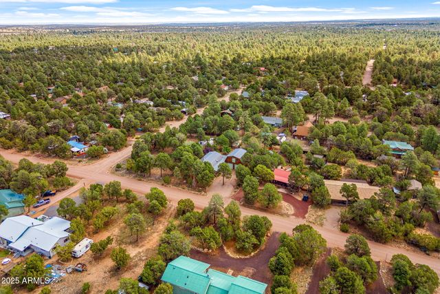 2933 WILDCAT Trail, Overgaard, AZ 85933