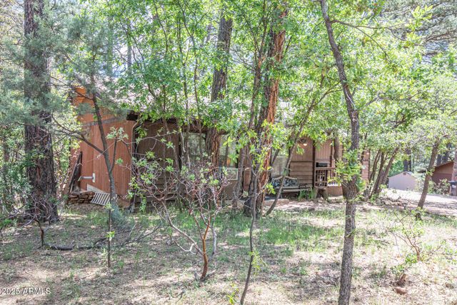 3865 N HUNT Drive, Pine, AZ 85544