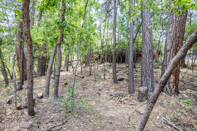 3865 N HUNT Drive, Pine, AZ 85544