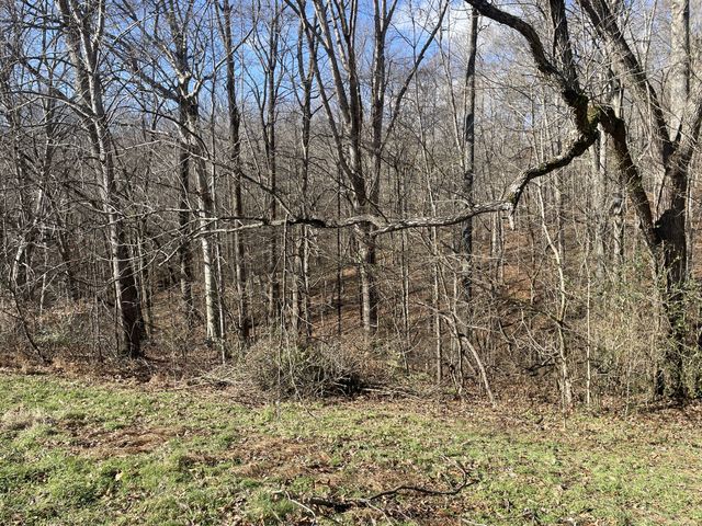 5675 Natchez Trace Rd, Franklin, TN 37064