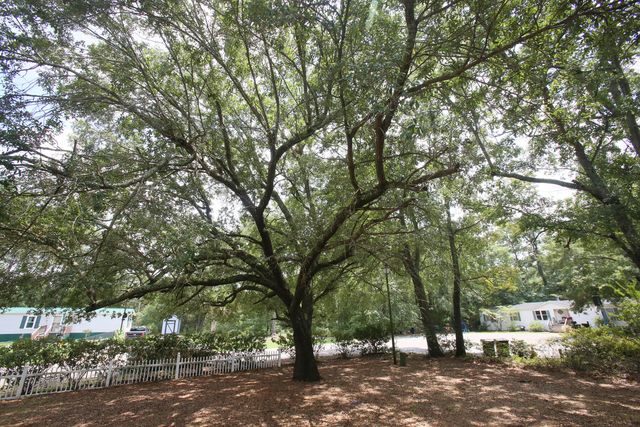 206 W Poplar Branch Drive, Moncks Corner, SC 29461