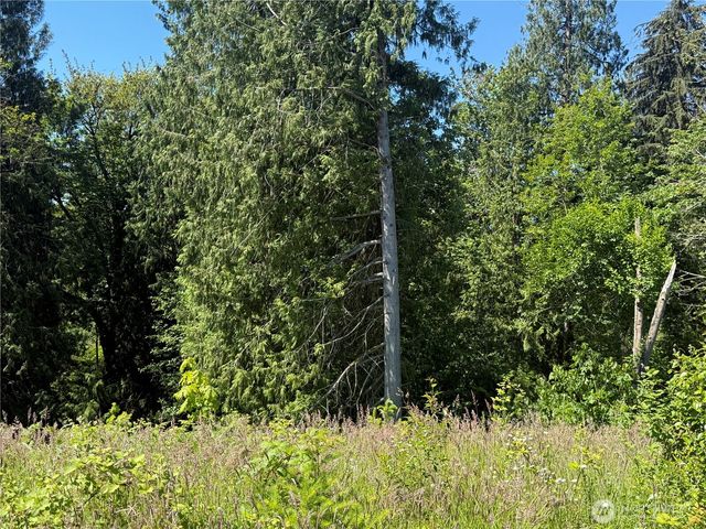 0 114th Avenue Ct E, Eatonville, WA 98328