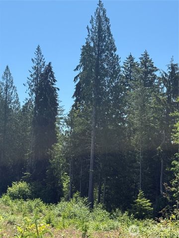 0 114th Avenue Ct E, Eatonville, WA 98328