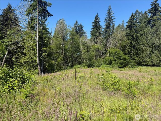0 114th Avenue Ct E, Eatonville, WA 98328