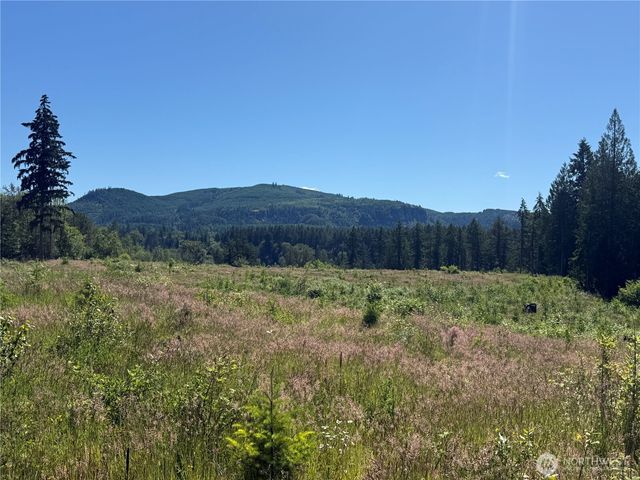 0 114th Avenue Ct E, Eatonville, WA 98328