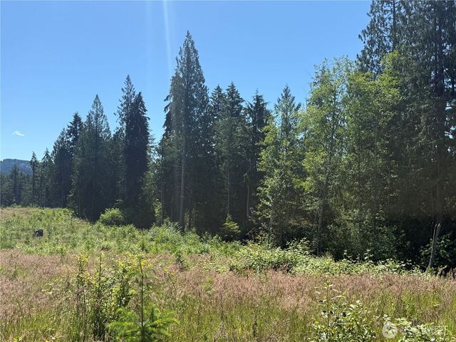 0 114th Avenue Ct E, Eatonville, WA 98328