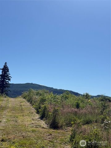 0 114th Avenue Ct E, Eatonville, WA 98328