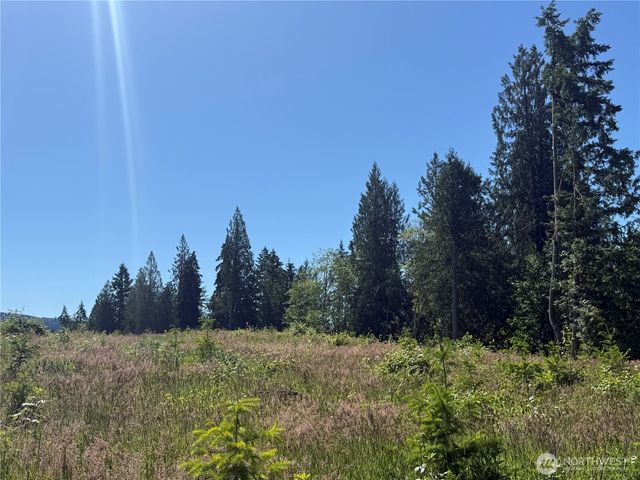 0 114th Avenue Ct E, Eatonville, WA 98328