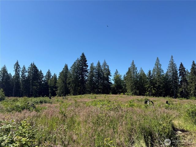 0 114th Avenue Ct E, Eatonville, WA 98328