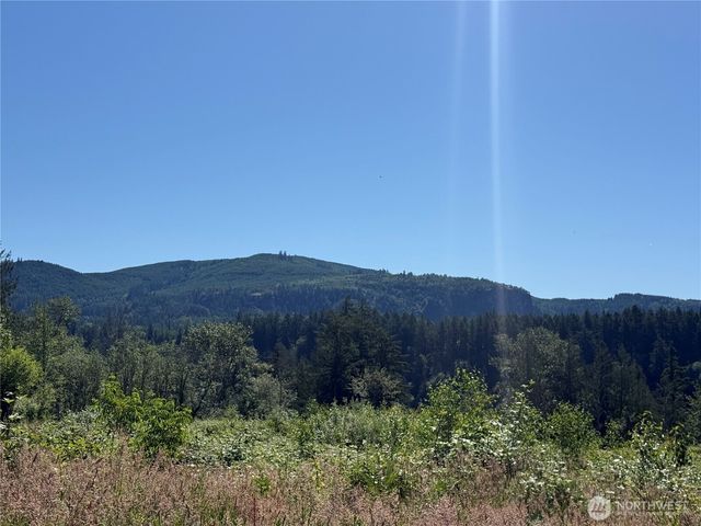0 114th Avenue Ct E, Eatonville, WA 98328