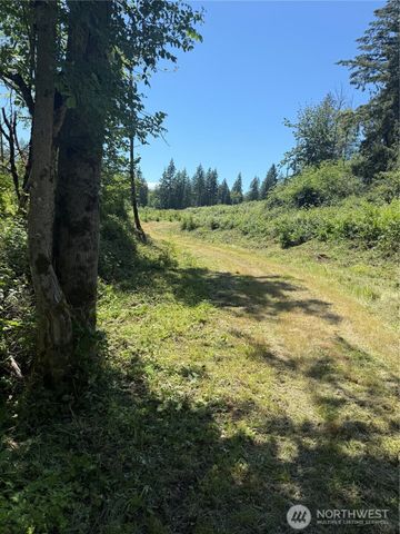 0 114th Avenue Ct E, Eatonville, WA 98328