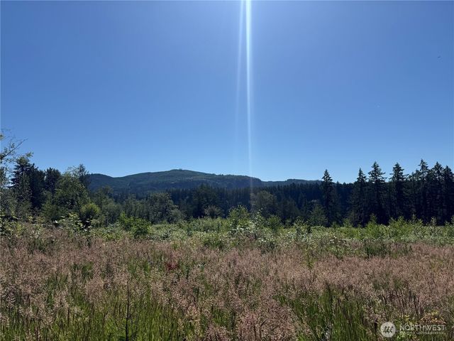 0 114th Avenue Ct E, Eatonville, WA 98328
