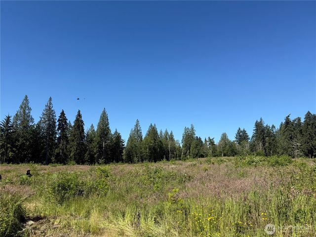 0 114th Avenue Ct E, Eatonville, WA 98328