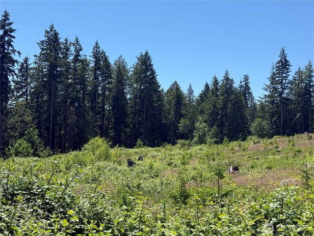 0 114th Avenue Ct E, Eatonville, WA 98328