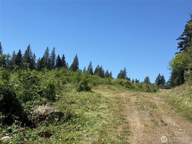 0 114th Avenue Ct E, Eatonville, WA 98328