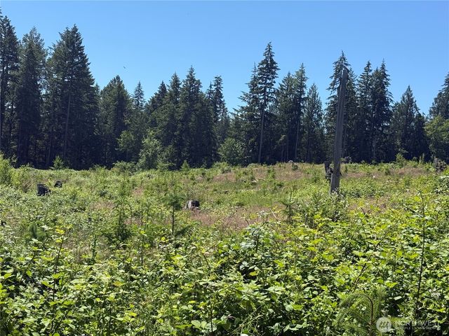 0 114th Avenue Ct E, Eatonville, WA 98328
