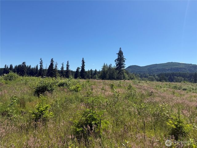 0 114th Avenue Ct E, Eatonville, WA 98328