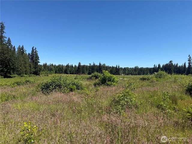 0 114th Avenue Ct E, Eatonville, WA 98328