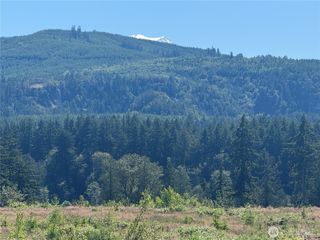 0 114th Avenue Ct E, Eatonville, WA 98328