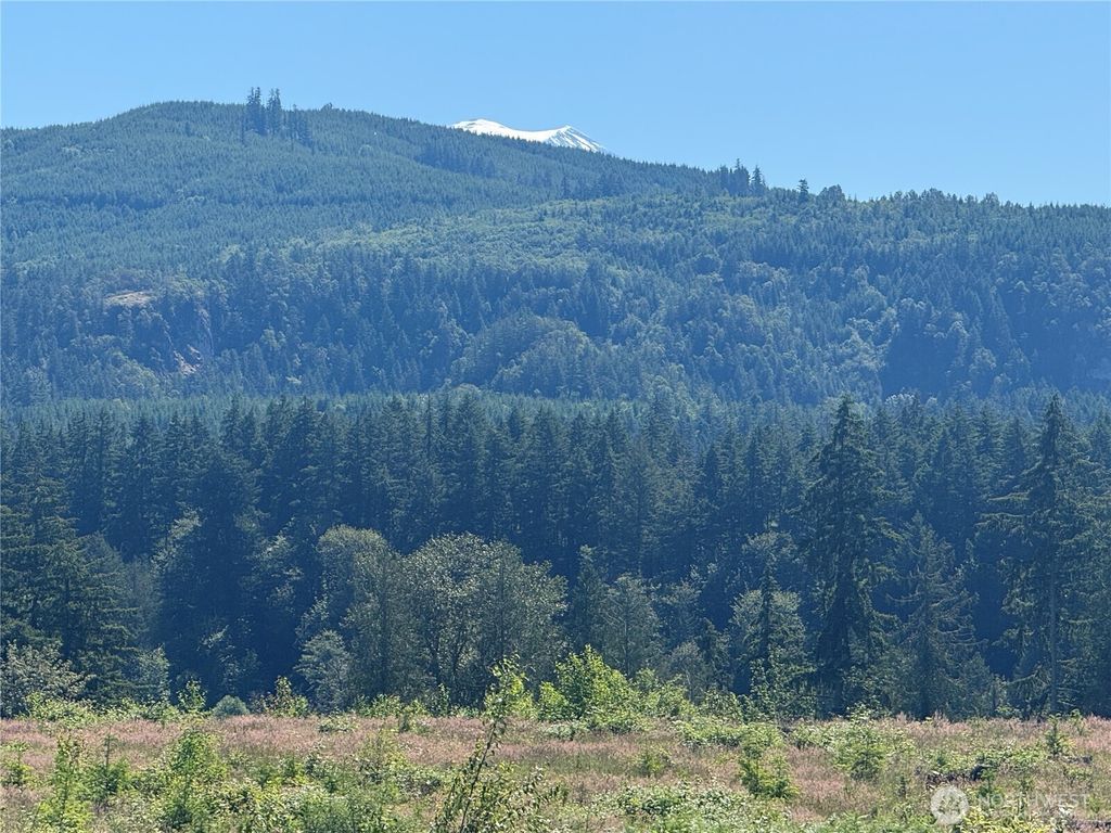 0 114th Avenue Ct E, Eatonville, WA 98328