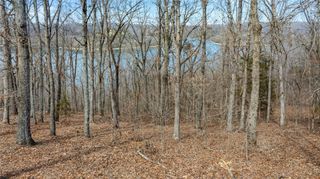 Lot 38 Co Rd 1520, Eureka Springs, AR 72632