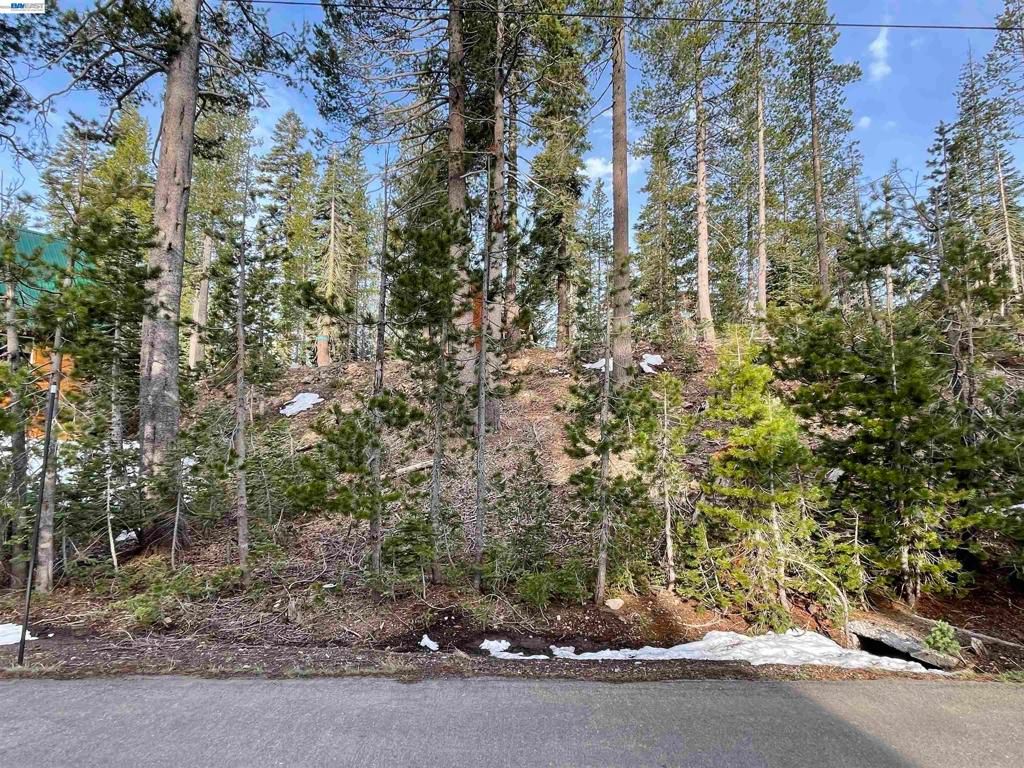 Image 1 of property listing at 7217 Palisade Road, Soda Springs, CA 95728