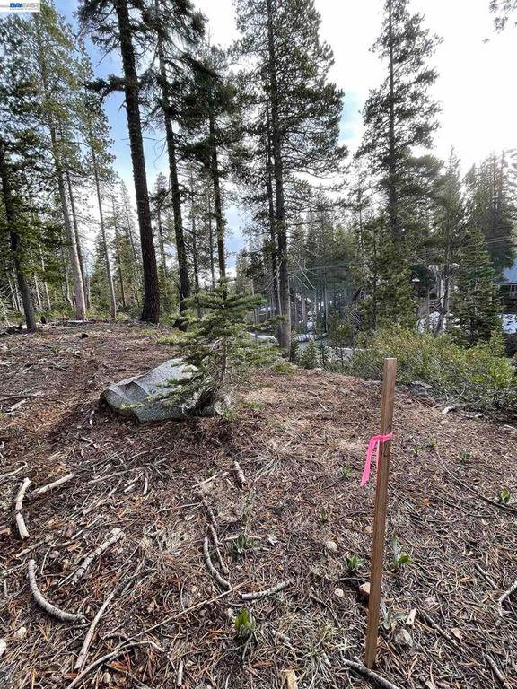 Image 10 of property listing at 7217 Palisade Road, Soda Springs, CA 95728