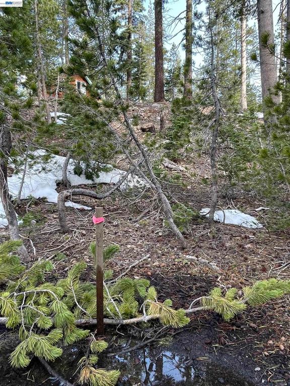 Image 11 of property listing at 7217 Palisade Road, Soda Springs, CA 95728