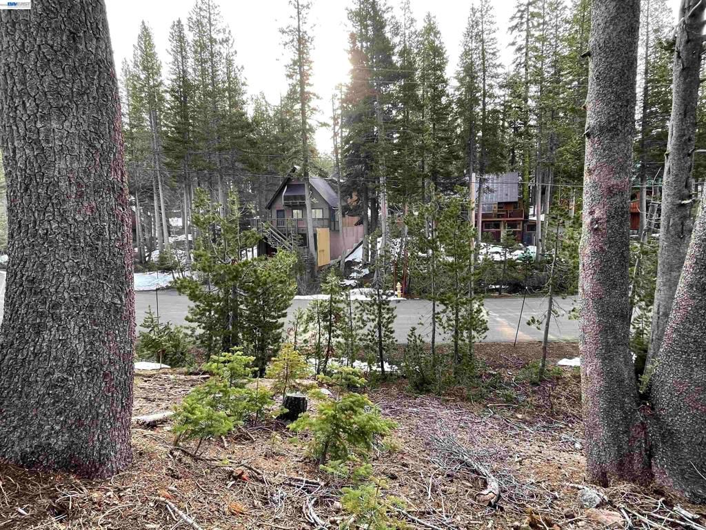 Image 3 of property listing at 7217 Palisade Road, Soda Springs, CA 95728