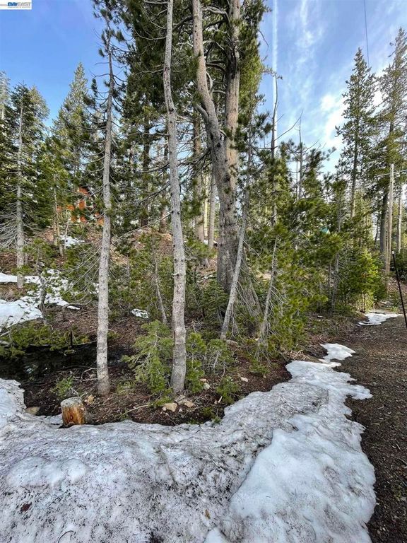 Image 7 of property listing at 7217 Palisade Road, Soda Springs, CA 95728