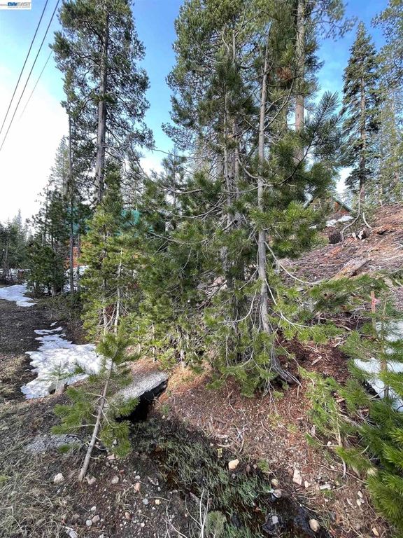 Image 8 of property listing at 7217 Palisade Road, Soda Springs, CA 95728