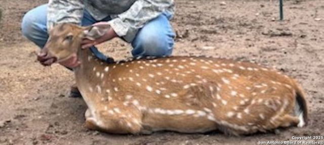 TBD SD74100, Rocksprings, TX 78880