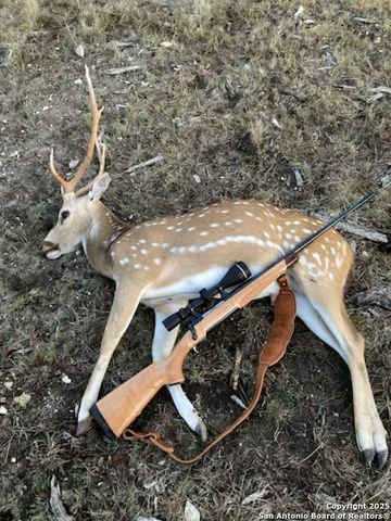 TBD SD74100, Rocksprings, TX 78880