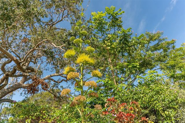 988 BLVD OF THE ARTS 1411, Sarasota, FL 34236