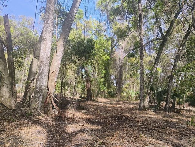 SPRING GARDEN RANCH, De Leon Springs, FL 32130