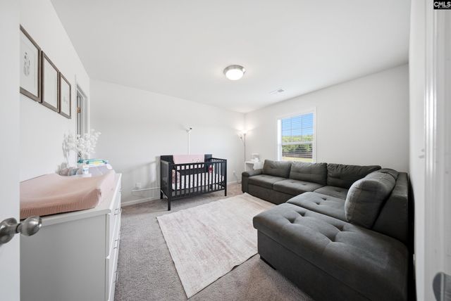 134 Belfast Way, Lexington, SC 29073
