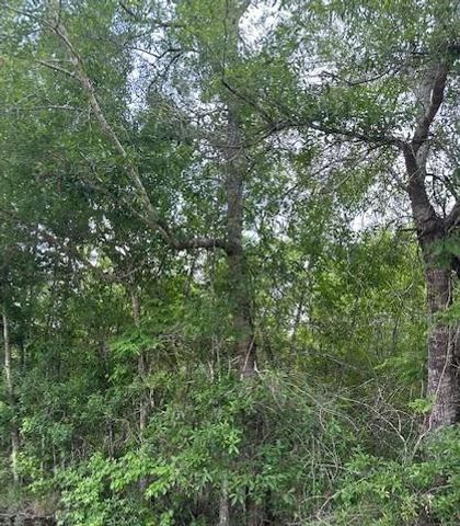 TBD 7 County Road 2223-B, Cleveland, TX 77327
