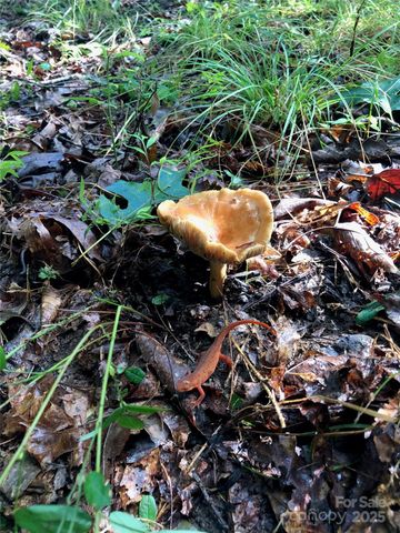 126 and 111 Visionview Way, Black Mountain, NC 28711