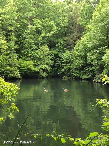 126 and 111 Visionview Way, Black Mountain, NC 28711