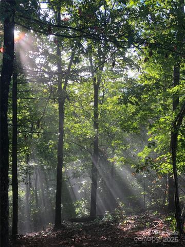 126 and 111 Visionview Way, Black Mountain, NC 28711