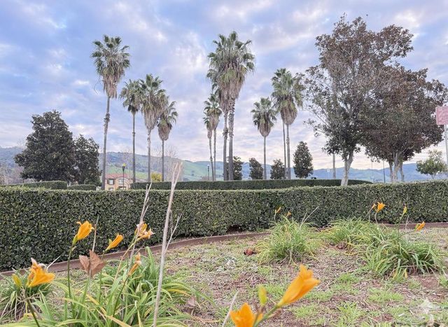 3337 Ariel Joshua Court, San Jose, CA 95135