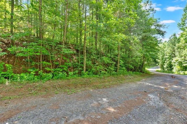 196 Whitestone Drive, Talking Rock, GA 30175